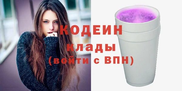 шишки Краснослободск
