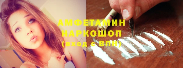 шишки Краснослободск