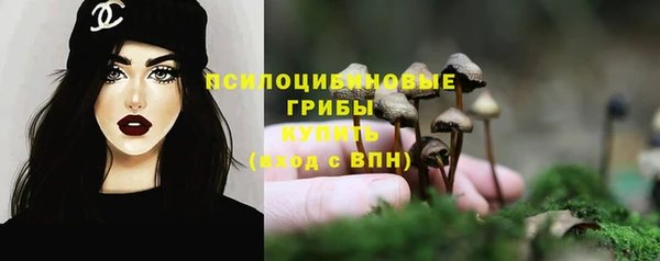 гашик Краснотурьинск