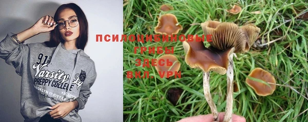 шишки Краснослободск