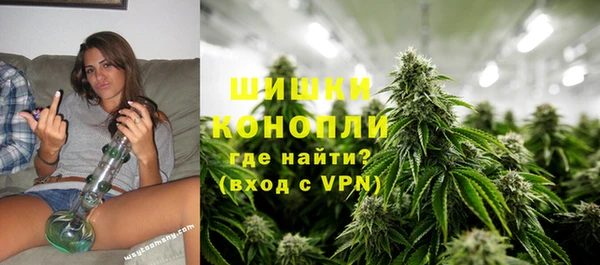 шишки Краснослободск