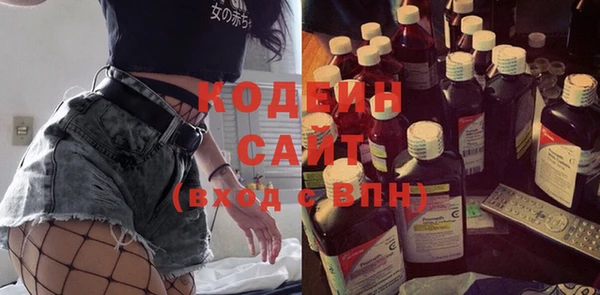 шишки Краснослободск
