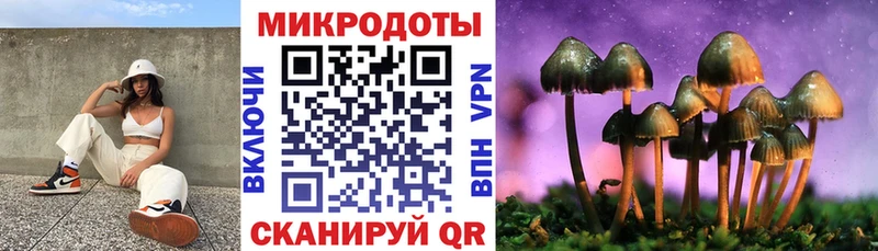 Купить закладки  Дагестанские Огни  Псилоцибиновые грибы мицелий 
