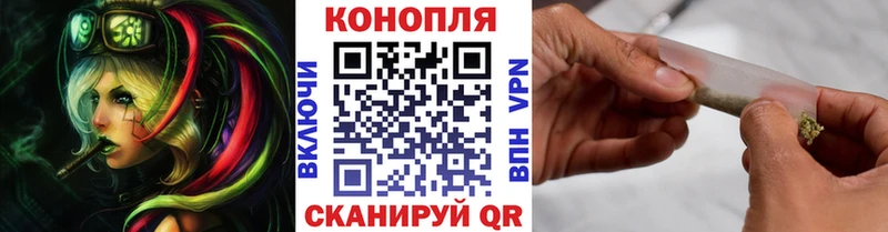 Конопля ГИДРОПОН  Купить  Дагестанские Огни 